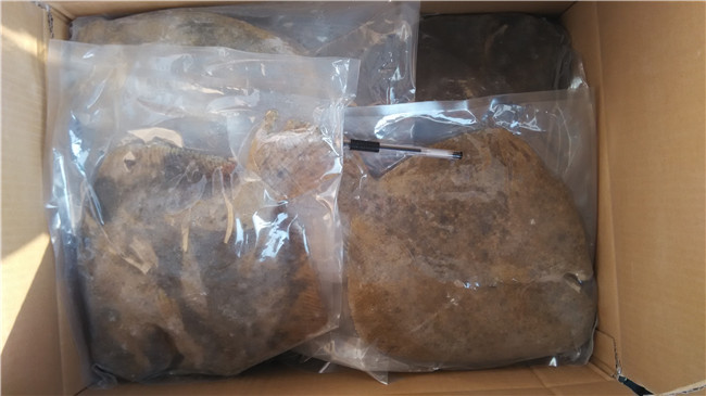 ��������~(y��)