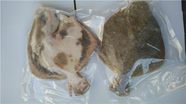 ��������~(y��)